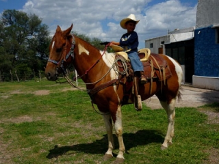 Rutas a caballo para peques